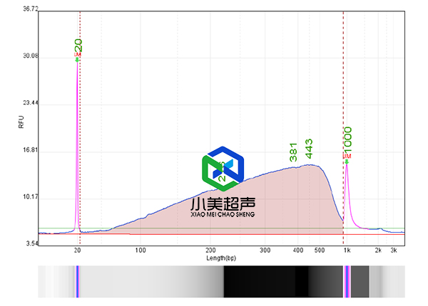 1757482541679149.jpg 9-10-1.jpg