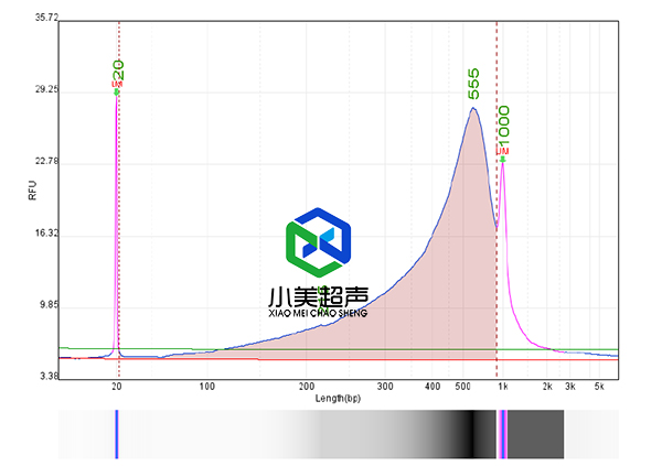 1757482573551599.jpg 9-10-3.jpg