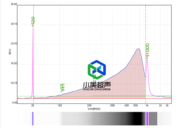 1757482617173501.jpg 9-10-6.jpg